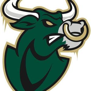 Team Page: The eBULLient USF Bulls